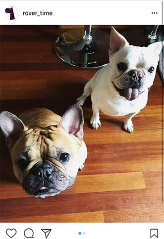 Rover-Time Instagram post