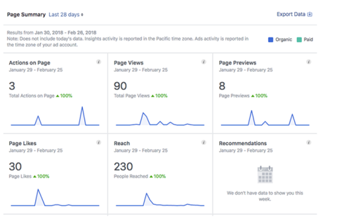 Facebook Insights screenshot
