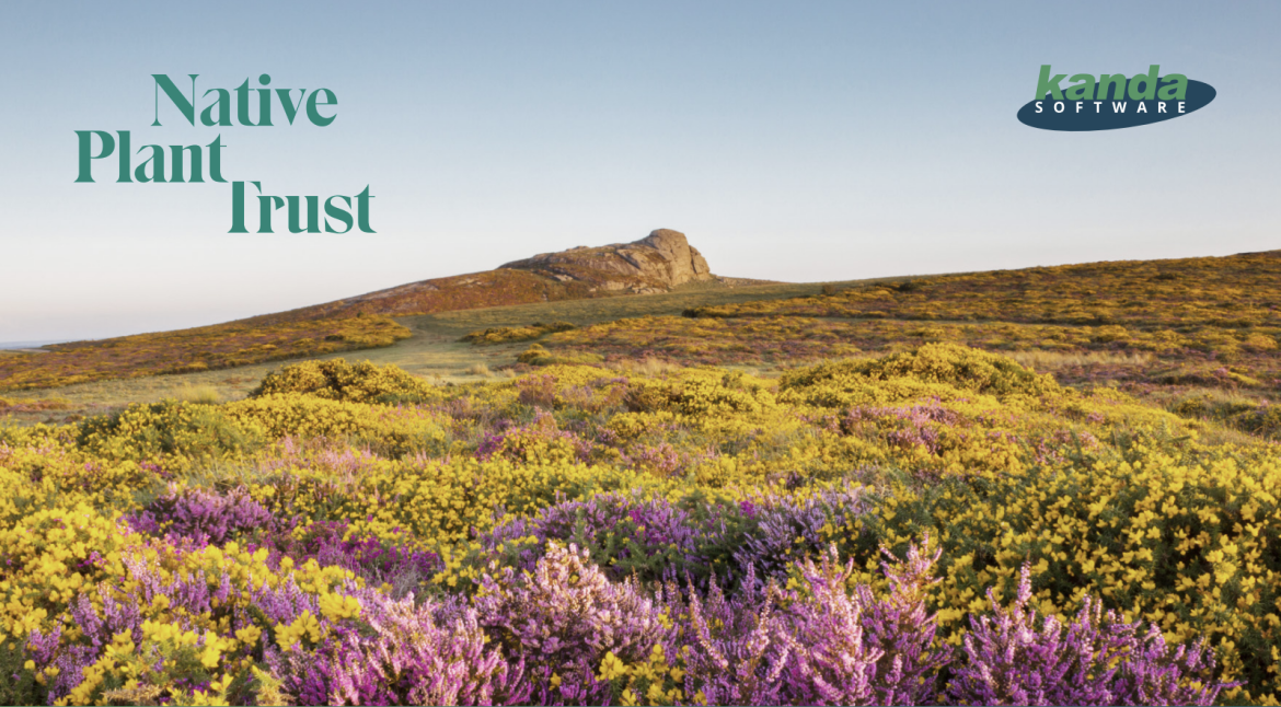 kanda software SPROUT