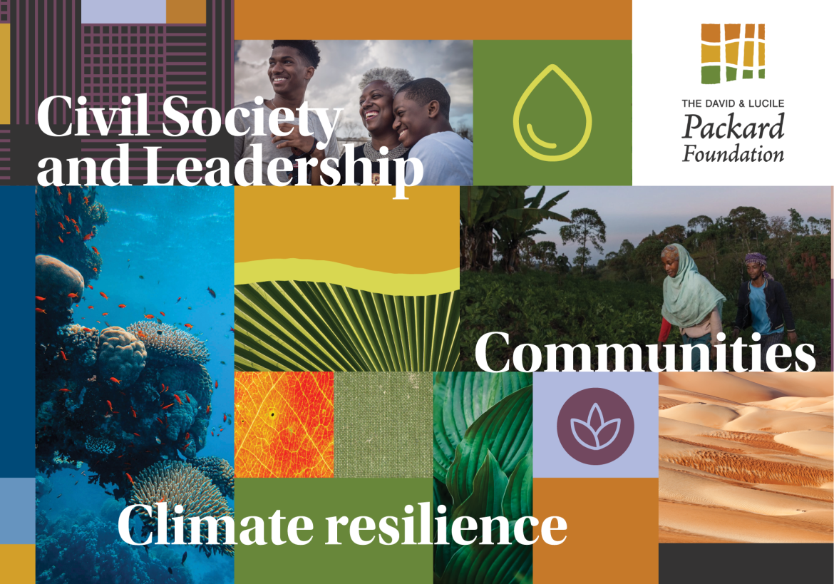 barretto packard foundation