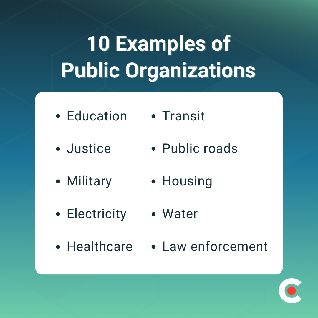 Public Organization Examples