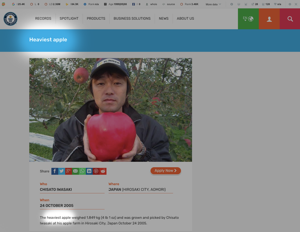 link value and relevance