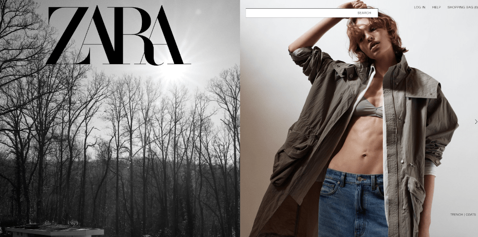 zara webpage