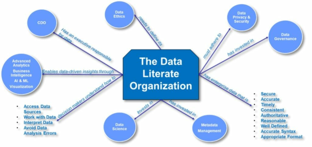 The data literate organization