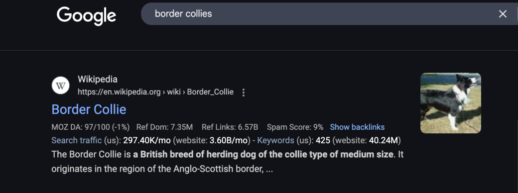Google search results for border collie