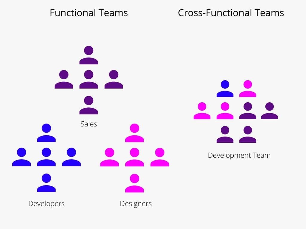 Visual representation of the different between functional and cross-functional teams