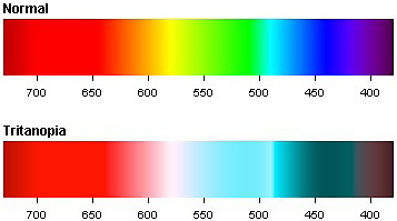 Older users have more difficulty distinguishing certain colors.