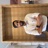 Reviewer avatar