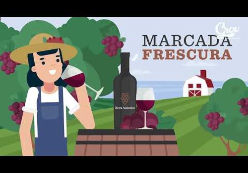 Video Production Package Example: Bairrada Wine Explainer Video