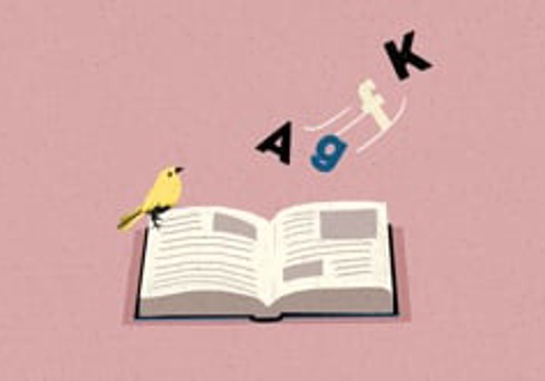 Video Production Package Example: Sonnar Library