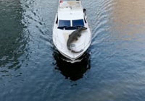 Video Production Package Example: CGI Video || Dubai Mood