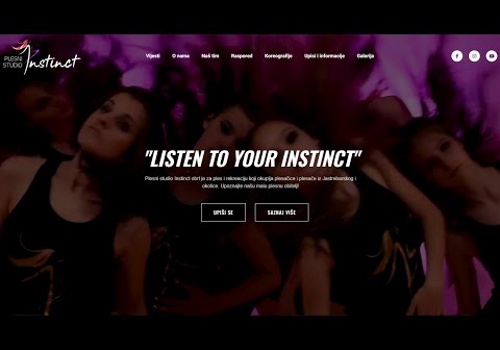 Web Design Package Example: Dance Studi Instinct Website