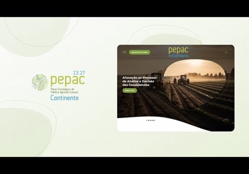UX/UI Design Package Example: Pepac no Continente
