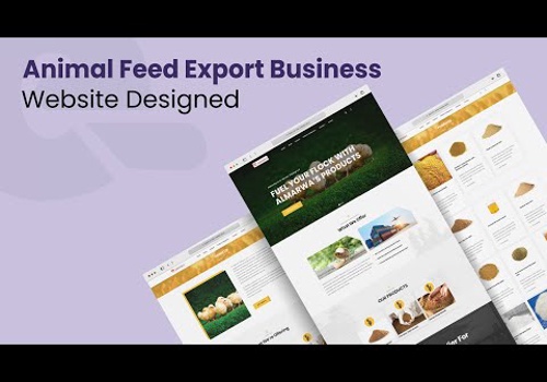 Web Development Package Example: Website for an International Trading Business