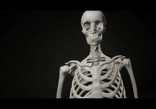 AR/VR Development Package Example: Advanced Anatomy