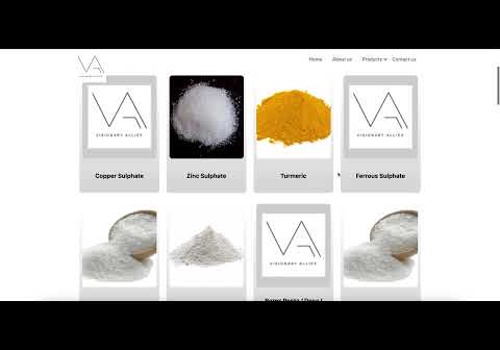 UX/UI Design Package Example: visionary-allies