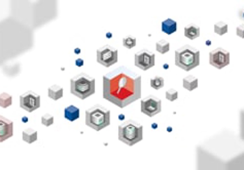 Video Production Package Example: Trend One // Quick Turnaround 2D Explainer Video