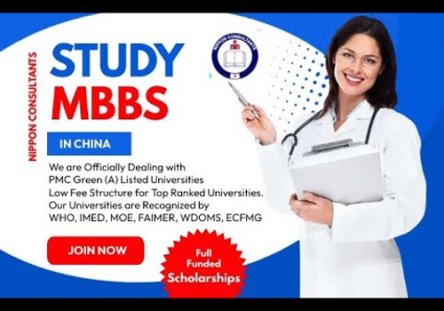 Search Engine Optimization Package Example: Nippon Ecological School of Japanese Language