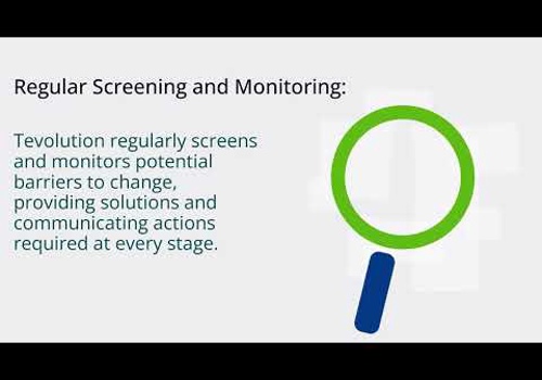 Business Consulting Package Example: Change Management Green Transition