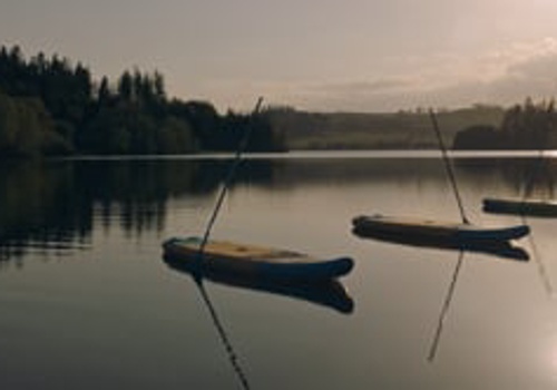 Video Production Package Example: Insportline Hungary – Energizing Brand Awareness