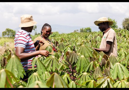 Video Production Package Example: The VIRCA Deployment Project