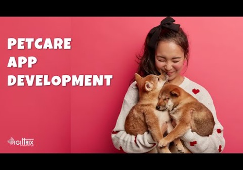 Web Development Package Example: Pet grooming website and App