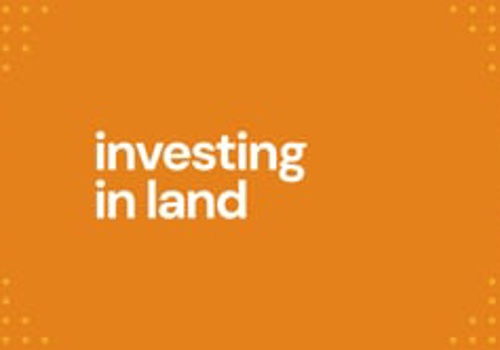 Graphic Design Package Example: Saveinvest