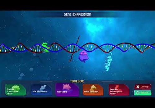 Custom Software Development Package Example: Educational Simulations: Gene Expression Project