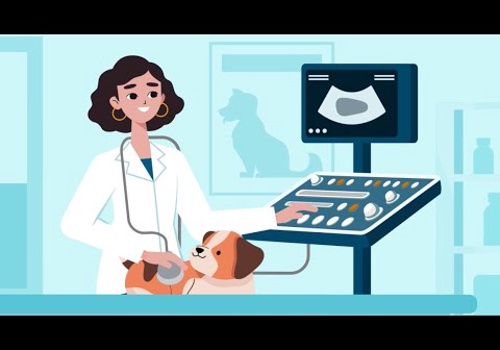 IT Managed Services Package Example: Veterinary Report System | SaaS Animation