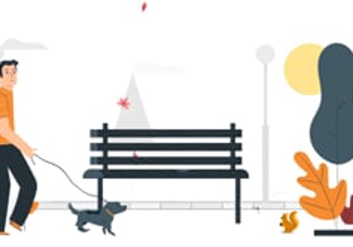 Video Production Package Example: Get Pet Connected