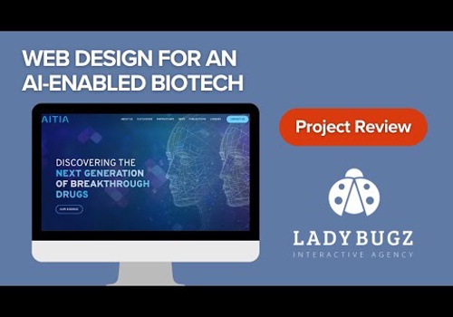 Web Design Package Example: Website Design for AI Enabled Biotech in Boston