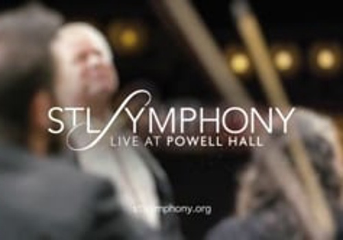 Branding Package Example: International Arts Organization Rebranding