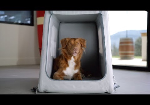 Video Production Package Example: DIGGS Enventur. 2023 Kickstarter Campaign