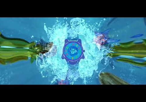 Video Production Package Example: Zooky World