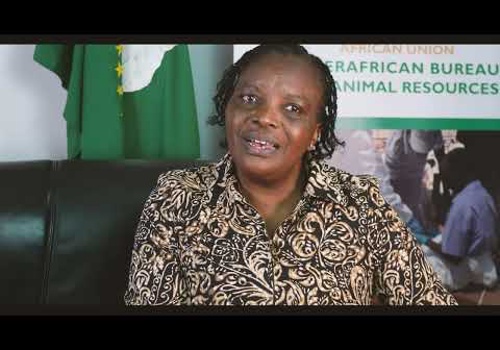 Video Production Package Example: AU-IBAR 70th Anniversary