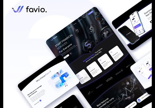 Web Development Package Example: Favio Finance