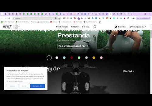 Web Development Package Example: Wordpress Elementor Site