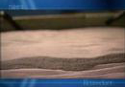 IT Strategy Consulting Package Example: Web hosting and Domain support