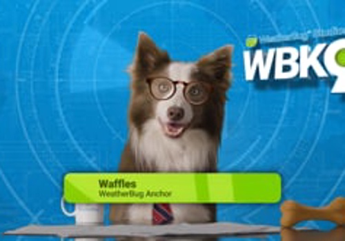 Advertising Package Example: WeatherBug