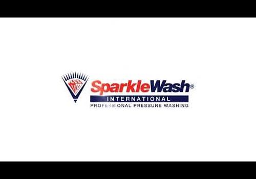 Logo Package Example: Sparkle Wash | Logo Animation