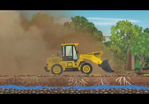 Video Production Package Example: Motion Graphic Video for Mad Dog