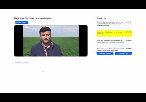 Custom Software Development Package Example: Romanian Video transcription