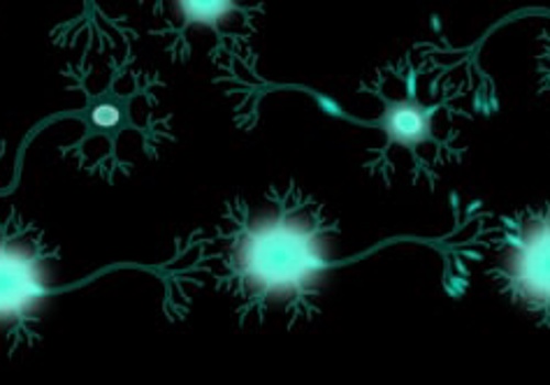 Video Production Package Example: Halo Neuroscience