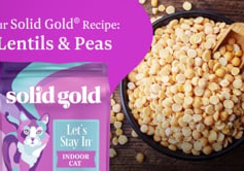 Branding Package Example: National Pet Food Brand Advertising