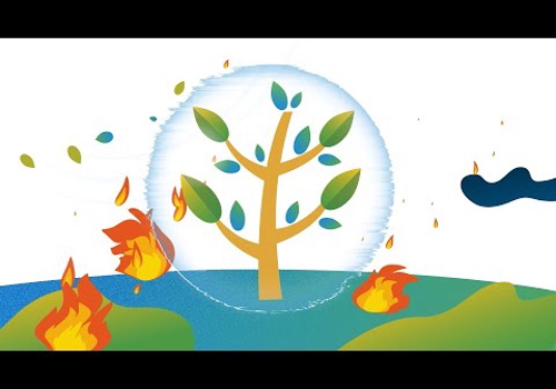 Video Production Package Example: Climate Friendly Travel Services Explainer Video