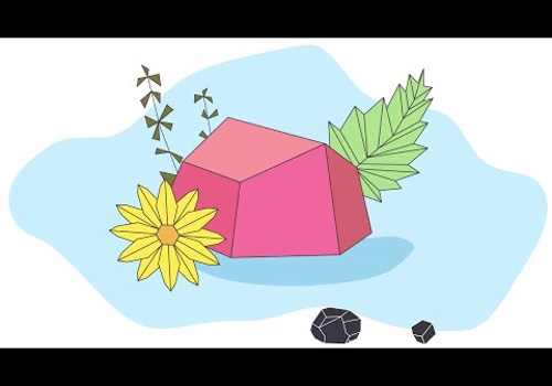 Video Production Package Example: Corporate Social Responsibility Video for Solidu