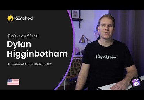 Custom Software Development Package Example: Stupid Raisins macOS App Design & Development