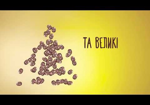 Video Production Package Example: Social animation