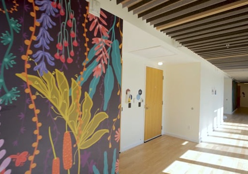 Video Production Package Example: Woman's Shelter Tour Video | Charity