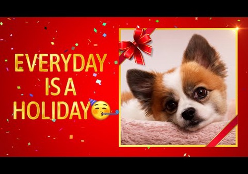 Social Media Marketing Package Example: Everyday Is Holiday, Share A Trending Video Today